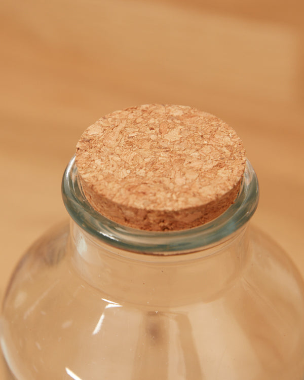 Dibor Glass Bottle With Cork Lid