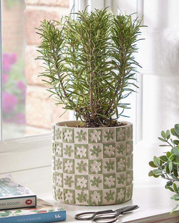 Dibor Green Floral Checkerboard Planters