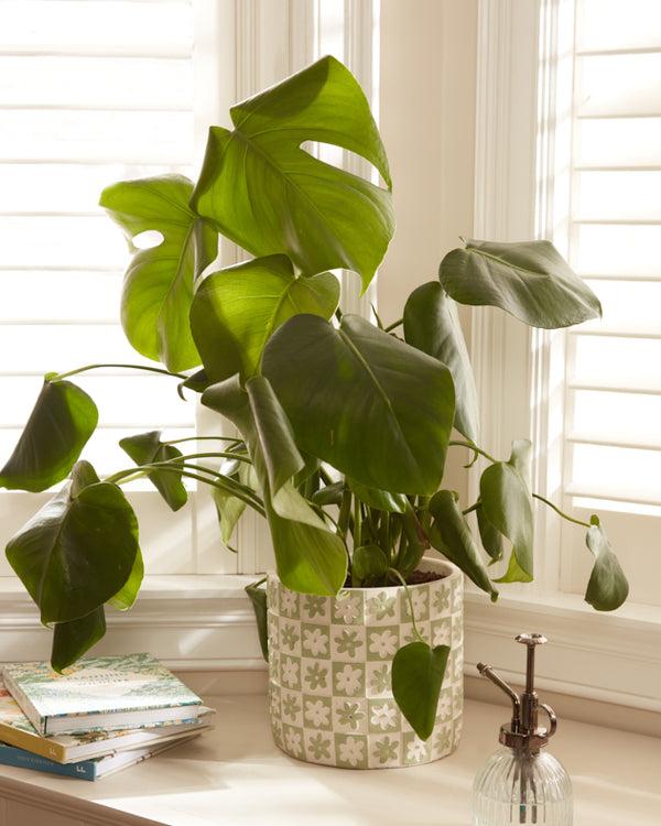 Dibor Green Floral Checkerboard Planters