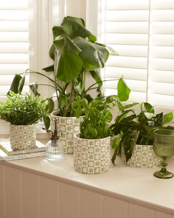 dibor Green Floral Checkerboard Planters
