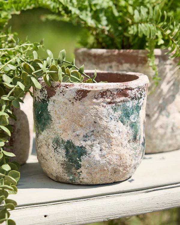 dibor Green Terracotta Weathered Planters
