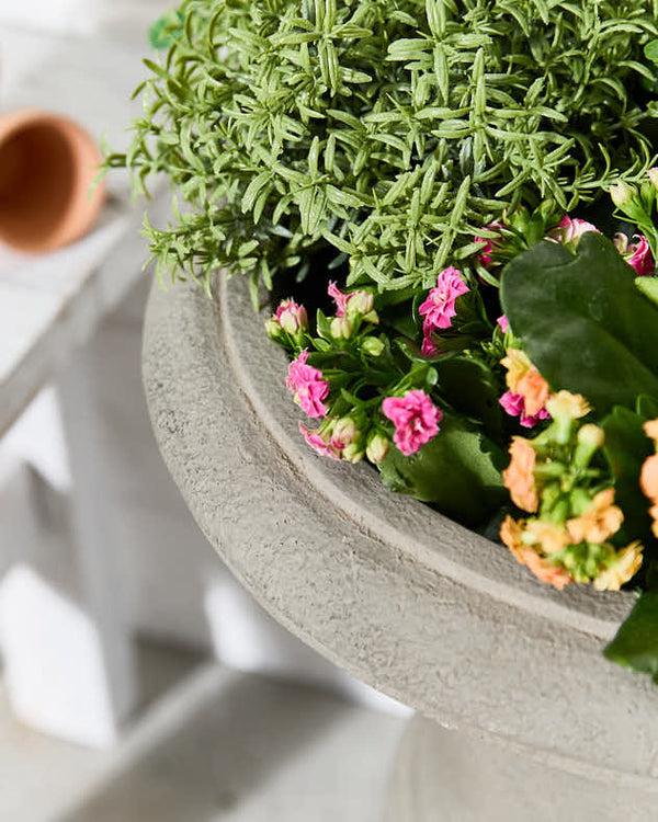 Dibor Grey Footed Urn Planter