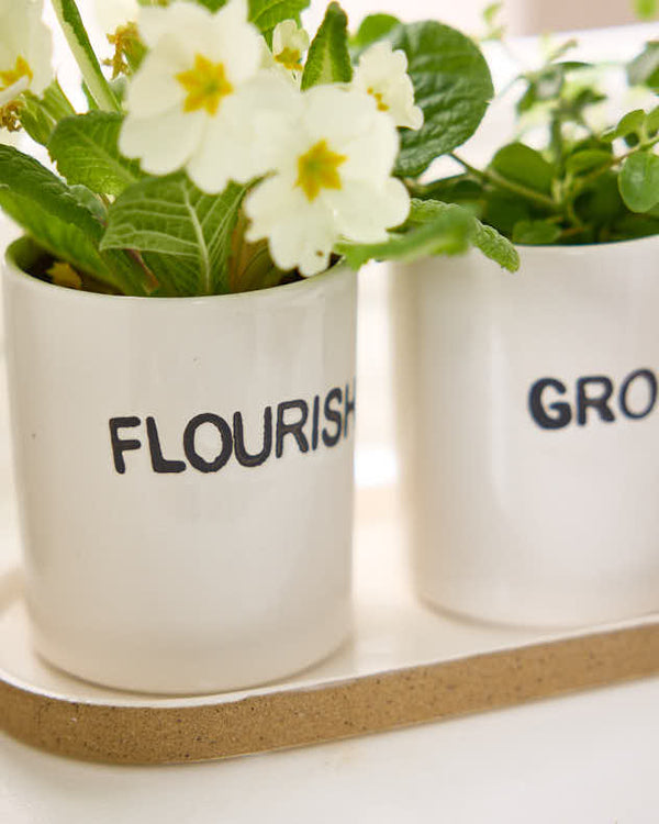 Dibor Grow Thrive & Flourish Ceramic Herb Pots