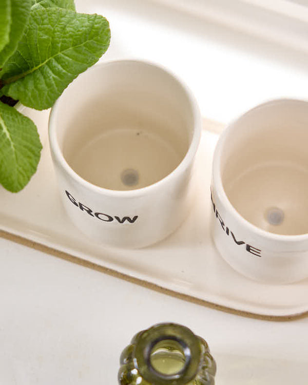 Dibor Grow Thrive & Flourish Ceramic Herb Pots