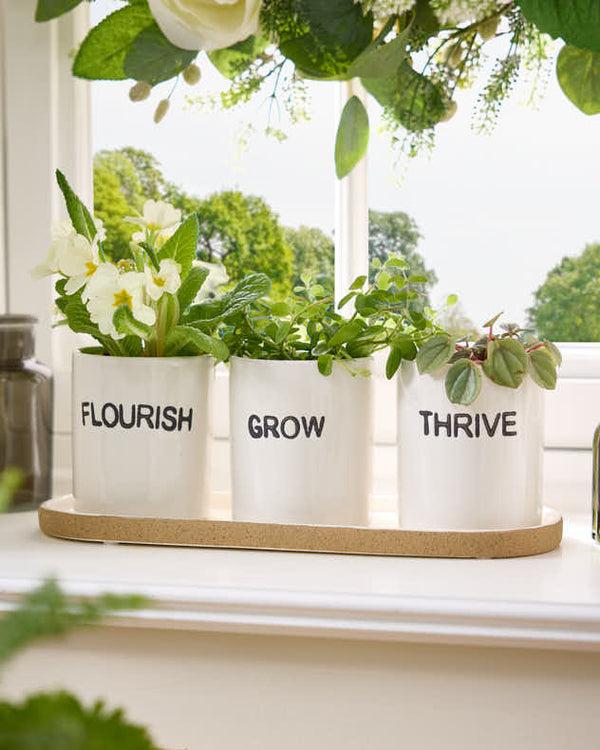 dibor Grow Thrive & Flourish Ceramic Herb Pots