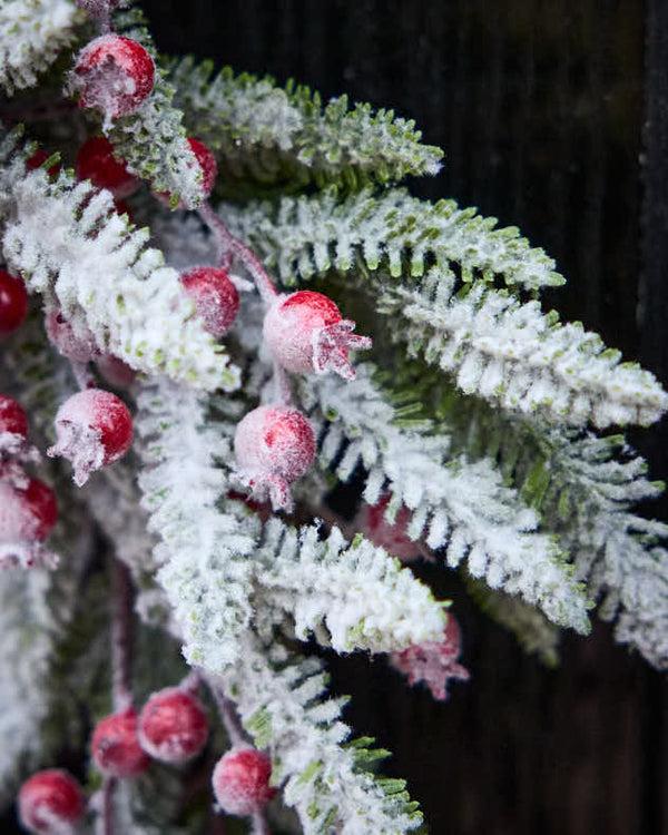 Dibor Hampton Frosted Berries Wreath 50cm