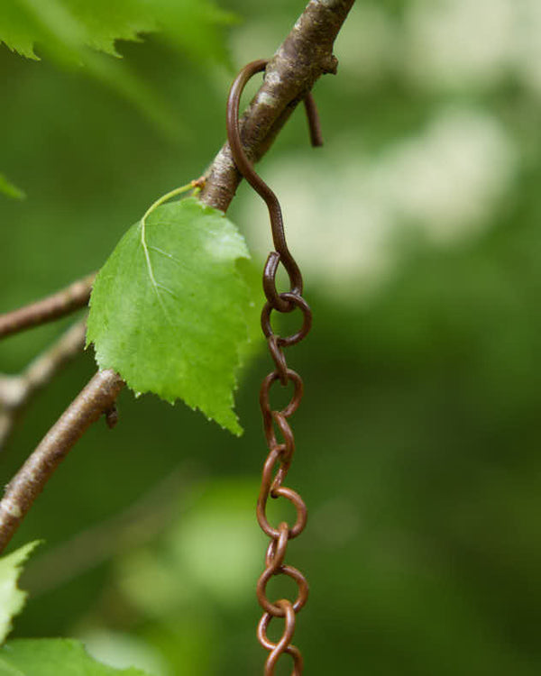 Dibor Hanging Bird Feeding Station