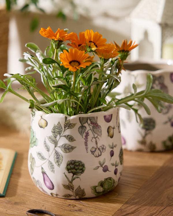 Dibor Harvest Vegetables Planter Collection