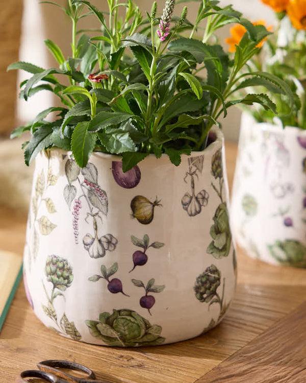 Dibor Harvest Vegetables Planter Collection