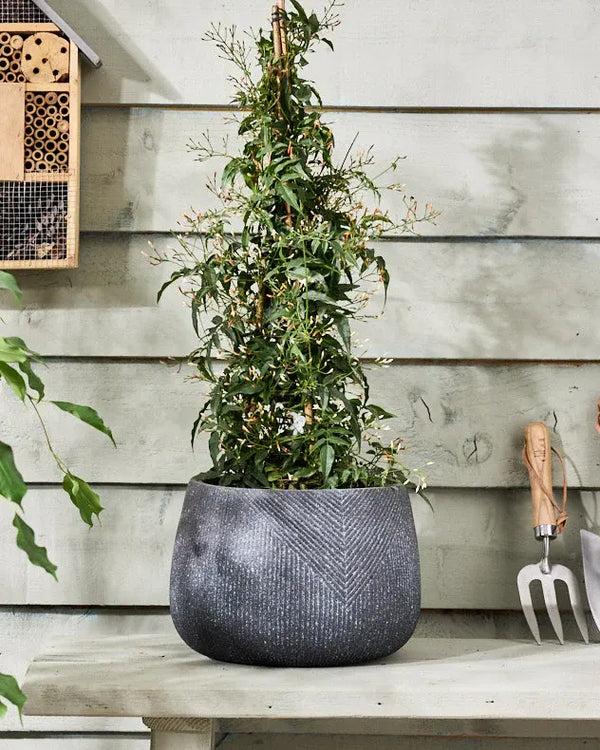 Dibor Kalo Grey Striped Planter Collection