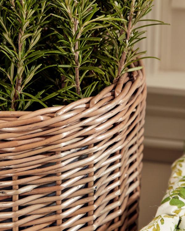 Dibor Large Round Wicker Planter Basket