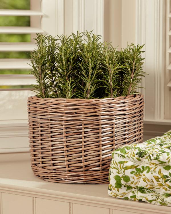 dibor Large Round Wicker Planter Basket