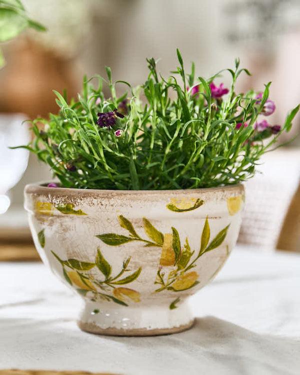 Dibor Lemon Print Footed Planter