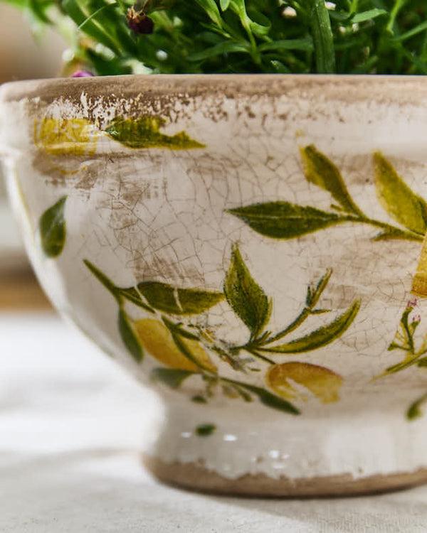Dibor Lemon Print Footed Planter
