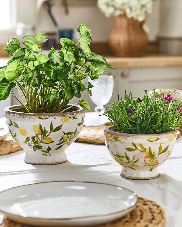 dibor Lemon Print Footed Planter