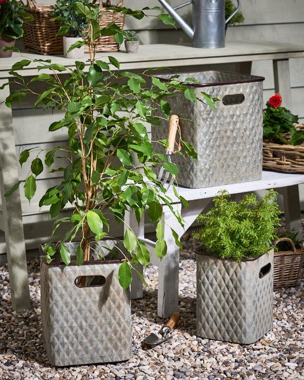 dibor Levene Set of 3 Embossed Planters