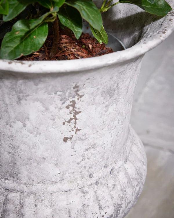Dibor Lindos Urn Plant Pots