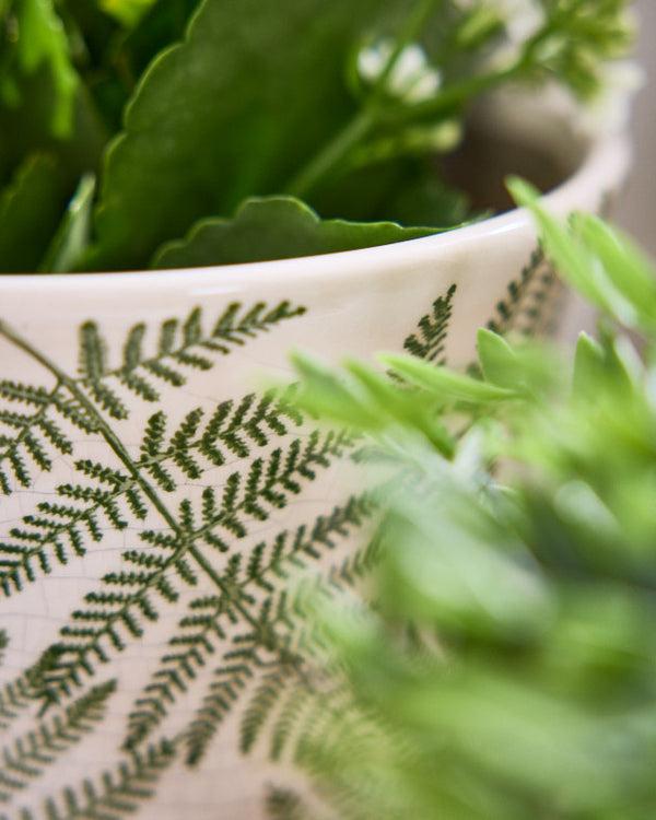 Dibor Macapa Set Of 2 Planters With Trays