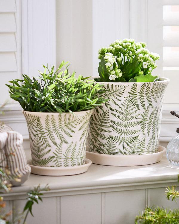 dibor Macapa Set of 2 Planters with Trays