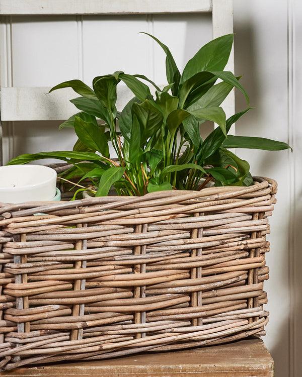 Dibor Medium Grey Rattan Storage Basket