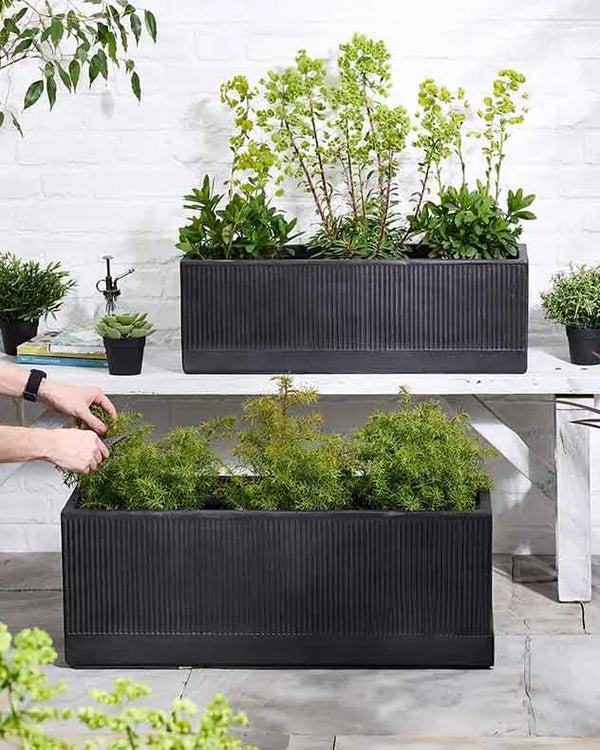 Dibor Mela Wide Black Planter Collection
