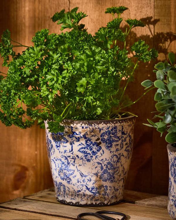 Dibor Milburn Blue Floral Plant Pots