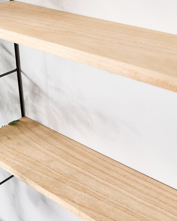 Dibor Minimalist Two-Tier Shelf Unit