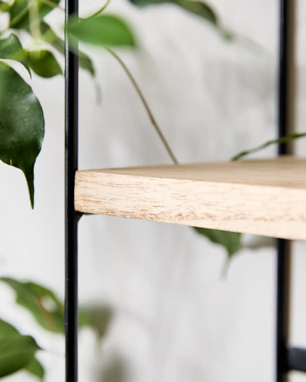 Dibor Minimalist Two-Tier Shelf Unit