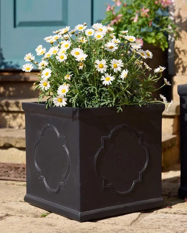 Dibor Monviso Black Embossed Planter Collection