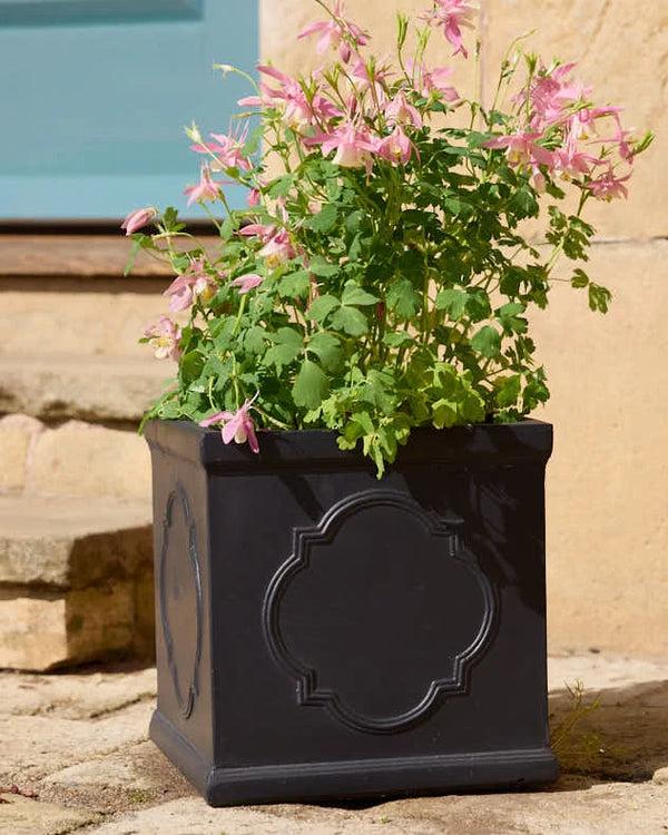 Dibor Monviso Black Embossed Planter Collection