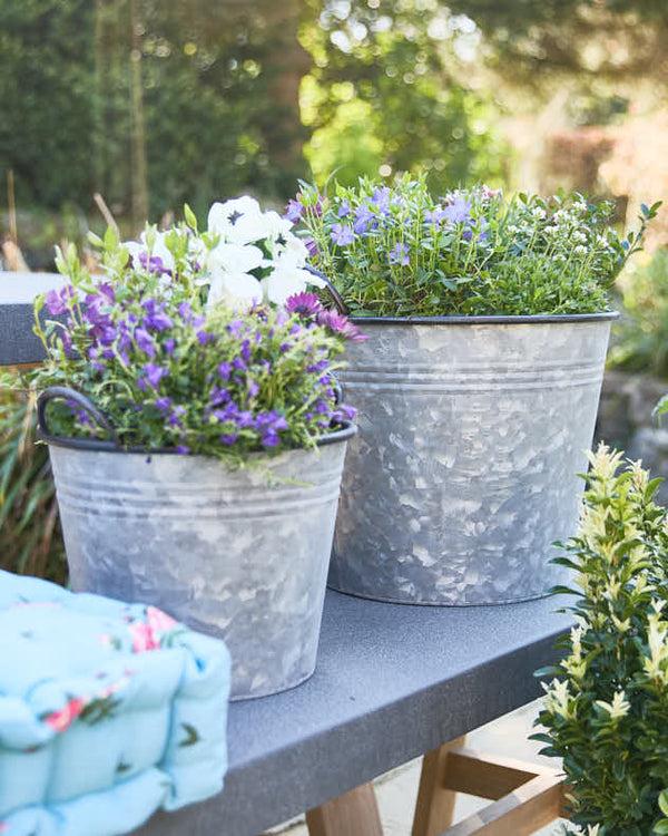 Dibor Mora Set Of 5 Bucket Planters
