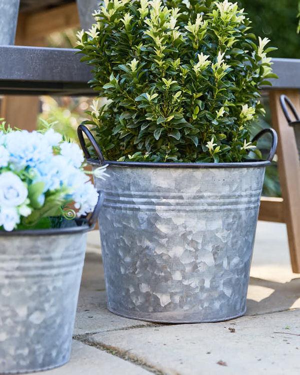 Dibor Mora Set Of 5 Bucket Planters