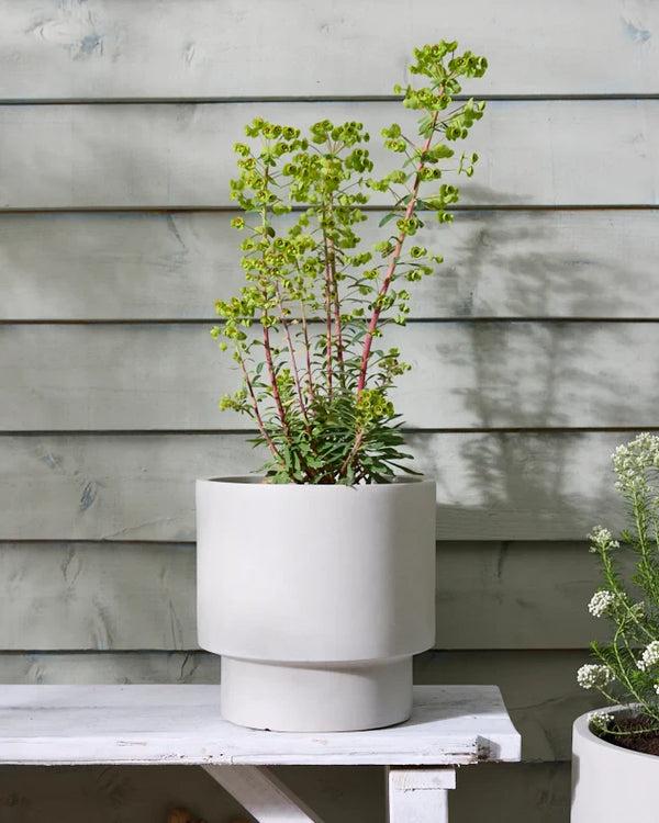 dibor Noma Beige Planter Collection