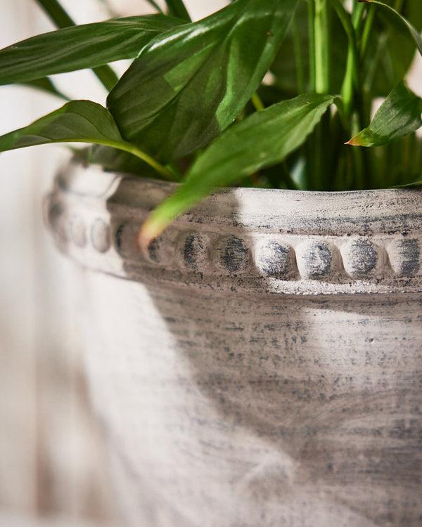 Dibor Olympia Plant Pot