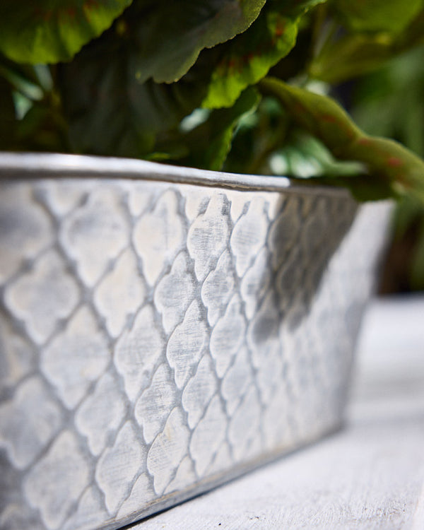 Dibor Pamiers Set Of 3 Quatrefoil Planters