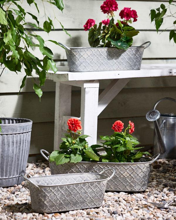 dibor Pamiers Set of 3 Quatrefoil Planters