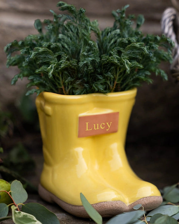 Dibor Personalised Welly Boot Planters