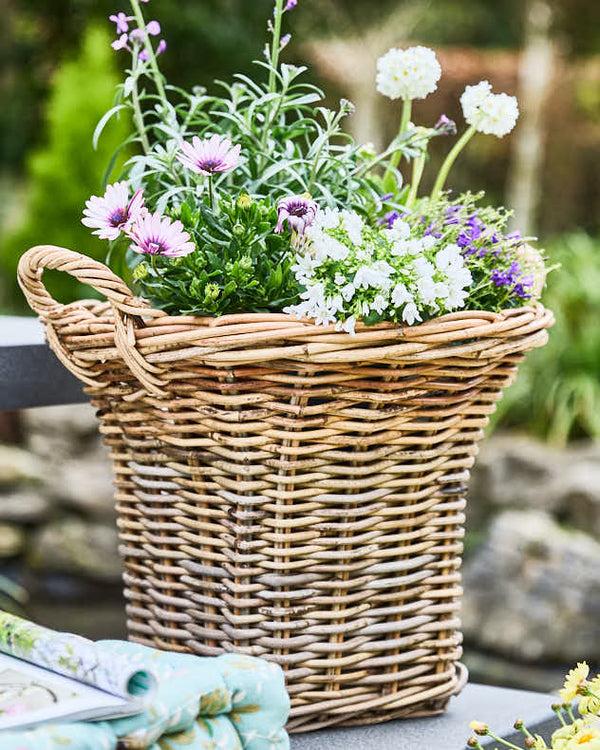 Dibor Pomona Fluted Basket Planters