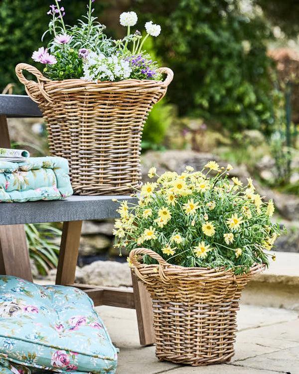 dibor Pomona Fluted Basket Planters