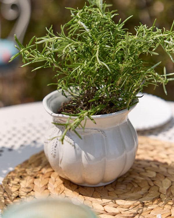 Dibor Radway White Plant Pot