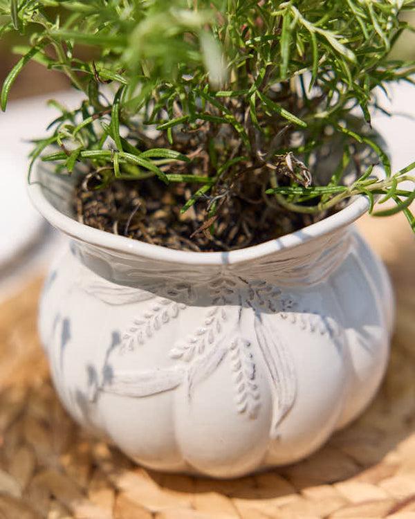 Dibor Radway White Plant Pot