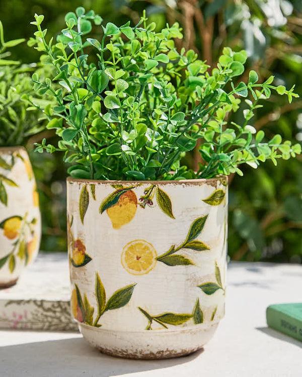 Dibor Ravello Lemon Planter Collection