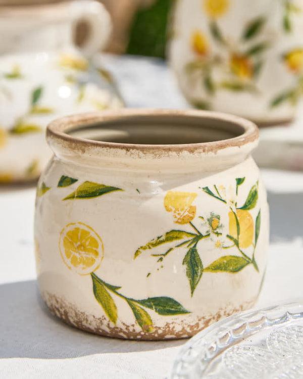 Dibor Ravello Lemon Planter Collection