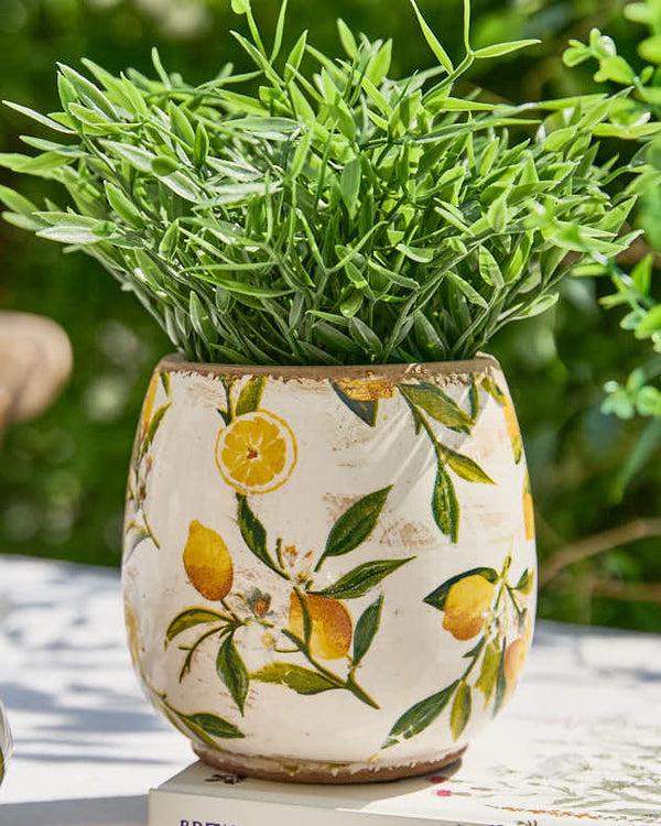 Dibor Ravello Lemon Planter Collection