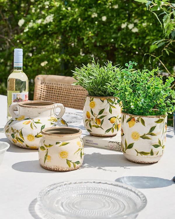 dibor Ravello Lemon Planter Collection