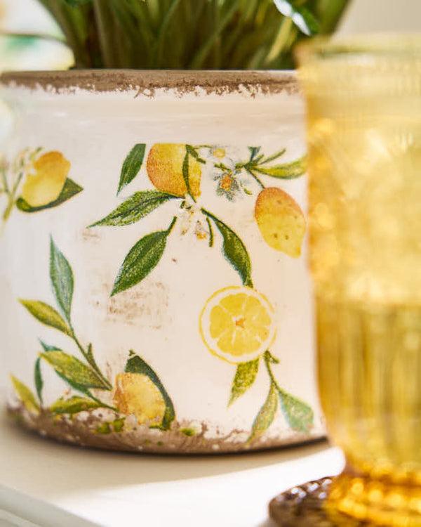 Dibor Ravello Lemon Print Fluted Planter