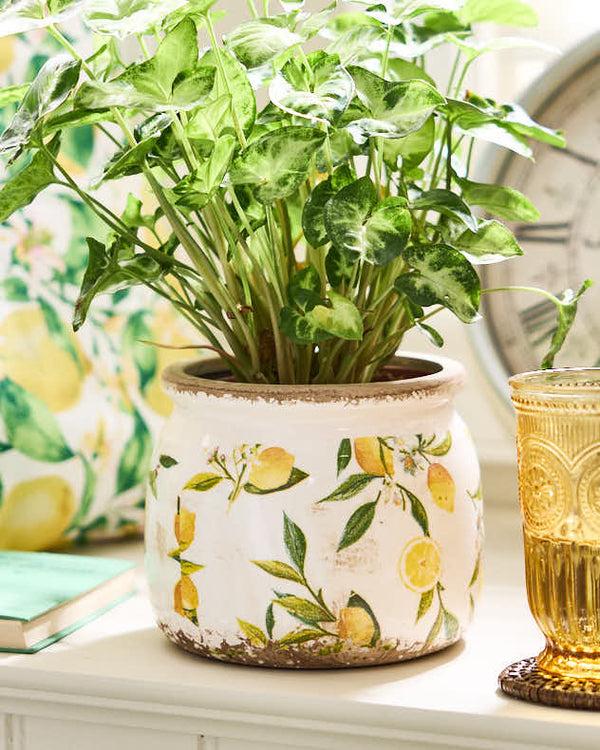 dibor Ravello Lemon Print Fluted Planter