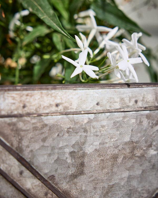 Dibor Roda Set Of 3 Vintage Planter Boxes