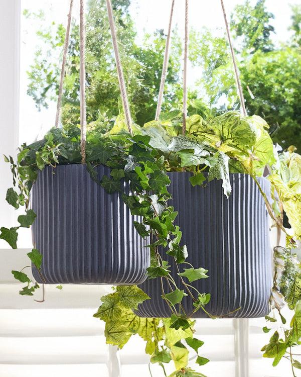 dibor Roma Grey Hanging Planter Collection