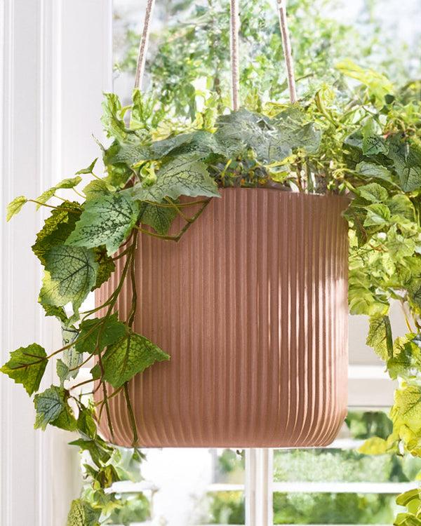 Dibor Roma Terracotta Hanging Planter Collection